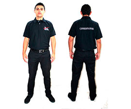 Coordinadores Logísticos